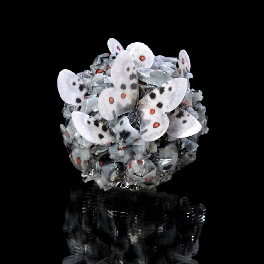 Reverie-2011-3