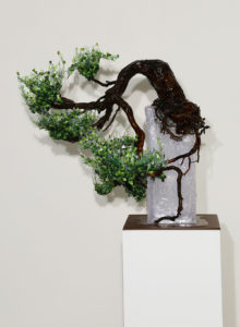kengai_verde1