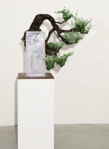 kengai_verde3