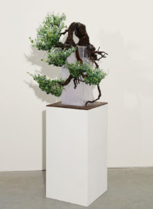 kengai_verde4