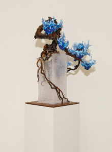 kengai_heavenly_flowers_3