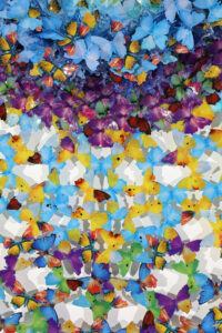 Dreamcatcher_ultragarden_in_the_sky_160_p8