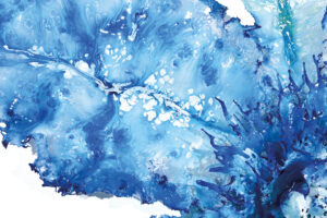 blue_desire_p23