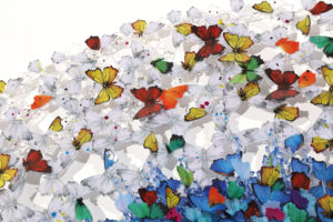 Dreamcatcher_rainbow_fortemarmi_Oblong_p13