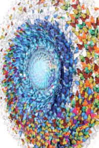 Dreamcatcher_rainbow_fortemarmi_Oblong_p2