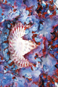 Dreamcatcher_blooming_cm180_p15