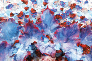 Dreamcatcher_blooming_cm180_p6