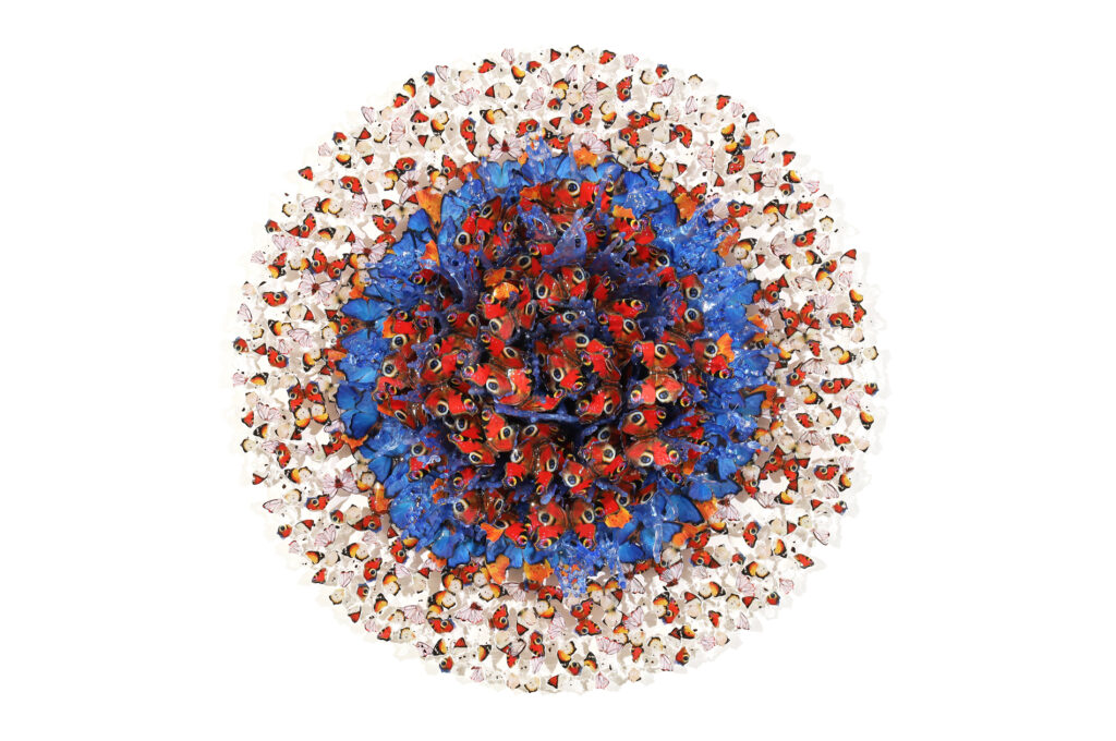 Dreamcatcher Vanitas